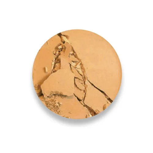Arcancil Poudre Compact COVER MATCH
