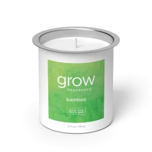 Bamboo Candle Fragrance