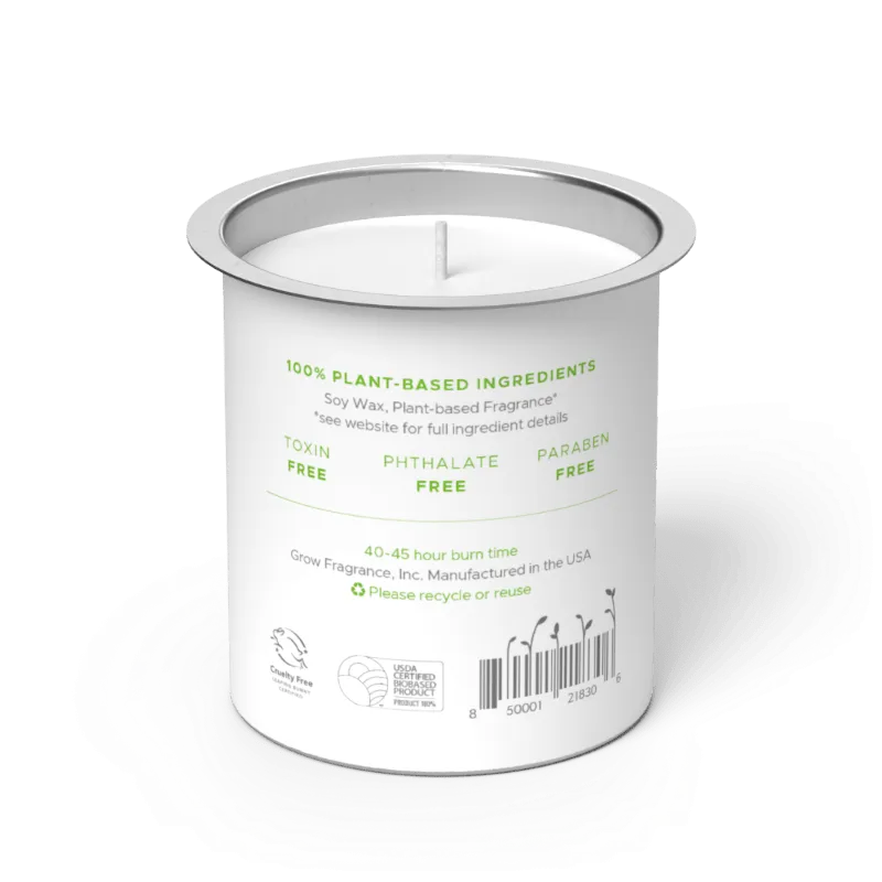 Bamboo Candle Fragrance