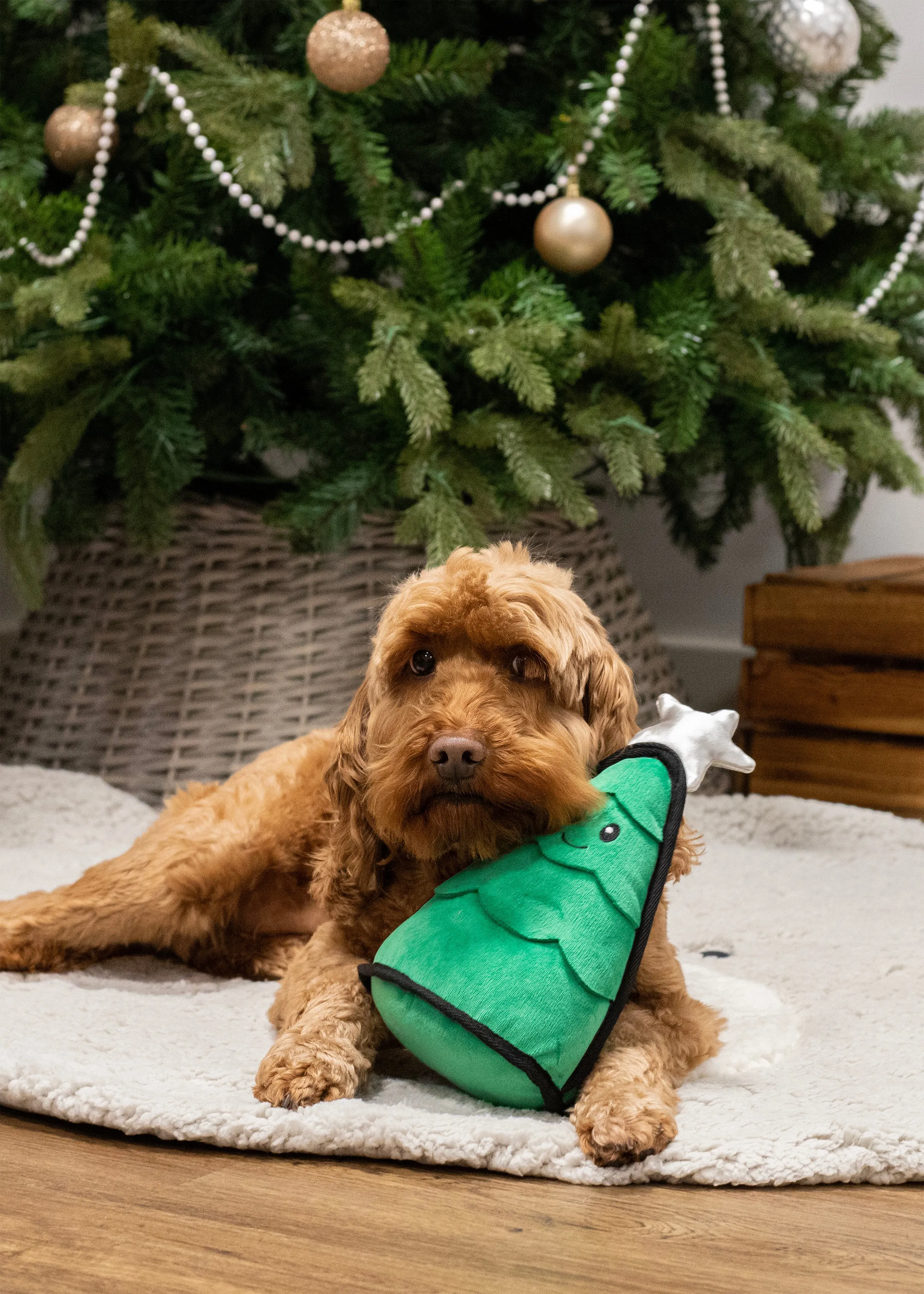 Cuddly Christmas Tree