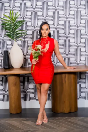 Lace Valentine Dress