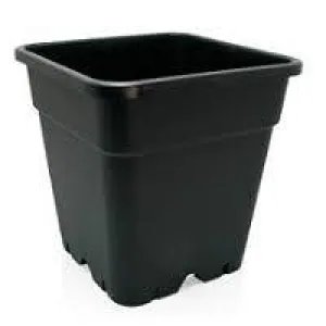 Square Plant Pots